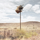 Illustration for article titled What are these mysterious structures in the southern Kalahari?